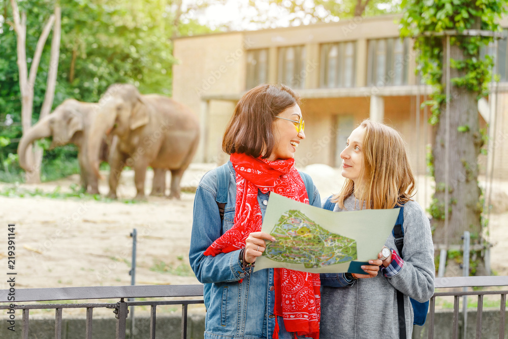 Obraz premium Two girls friends students watching at elephant family feeding in the zoo while navigating by map