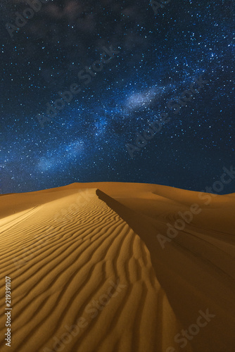 The stars in the desert