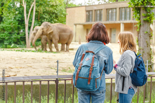 Two girls friends students watching at elephant family feeding in the zoo