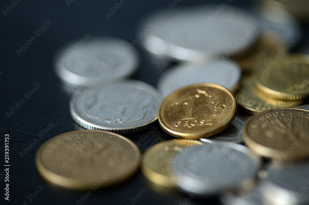 Some Polish coins scattered on a dark background close up
Some Polish coins scattered on a dark background close up