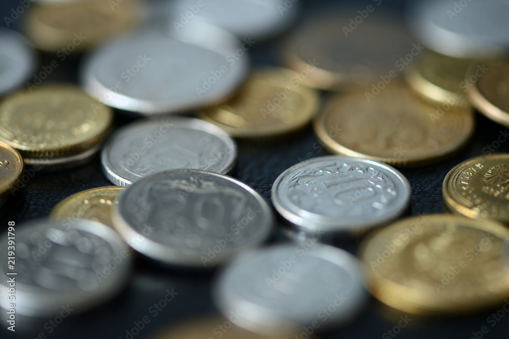 Some Polish coins scattered on a dark background close up
Some Polish coins scattered on a dark background close up