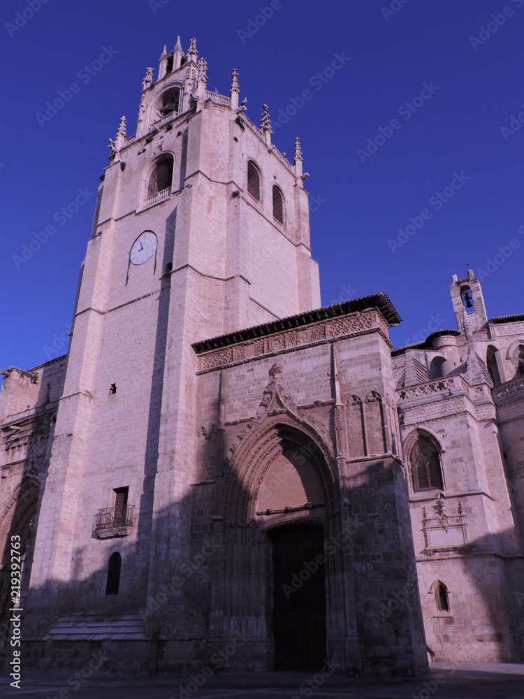 Catedral de San Antolín en Palencia, Castilla y León