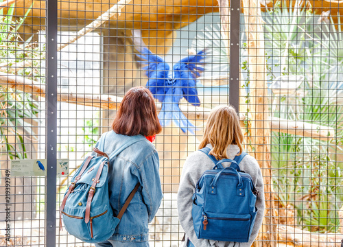 Girls students watching birds at the zoo. Leisure in touch with animals and nature concept