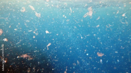 Detailed photography of sea water contaminated by micro plastic. Environment pollution concept.