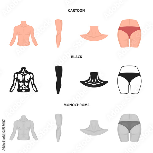 Torso, leg, neck and buttocks. Body parts set collection icons in cartoon,black,monochrome style vector symbol stock illustration web.