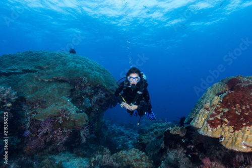 Wallpaper Mural woman diver underwater over a colorful tropical reef with sea fan, coral and sponge in Rajat Ampat, Indonesia Torontodigital.ca