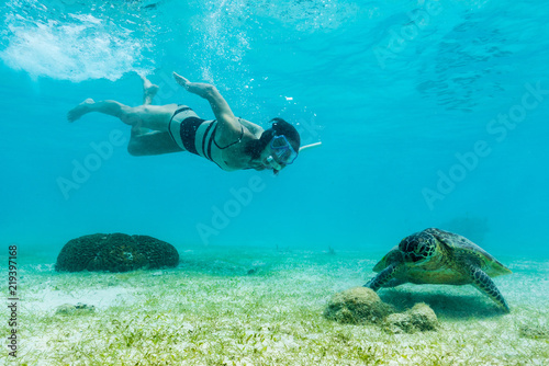 Hawksbill sea turtle feeding on sea weed grass in shallow water with a woman diver