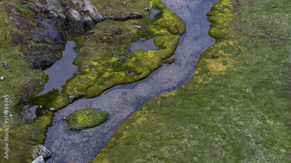 Wet swampy area in Norway