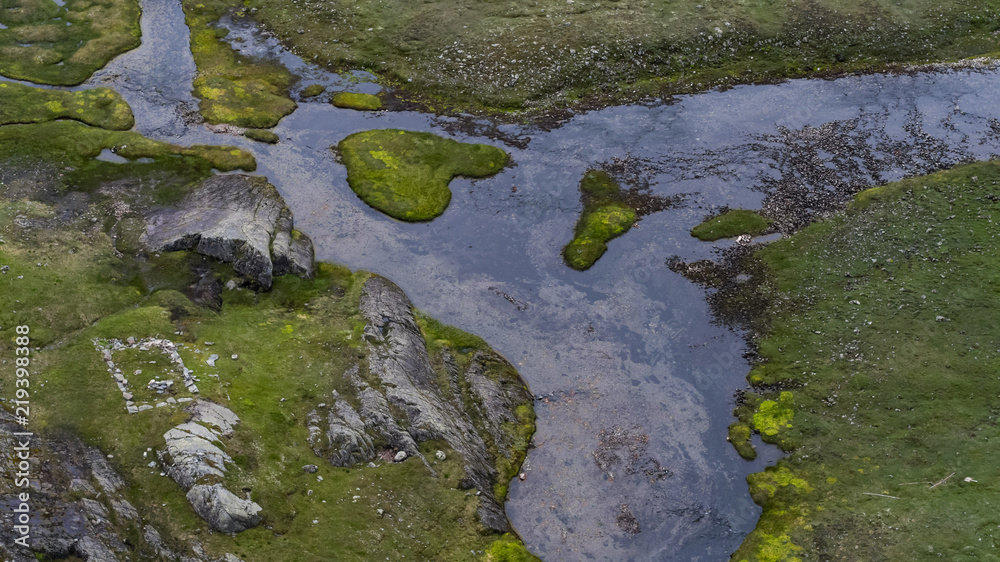 Wet swampy area in Norway