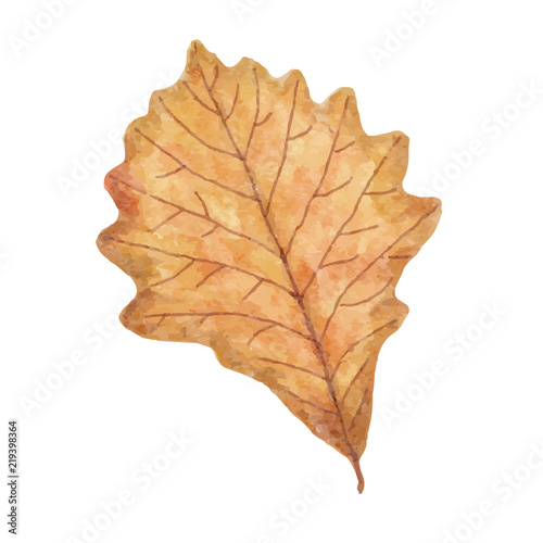 Watercolor autumn leaf isolated on white background