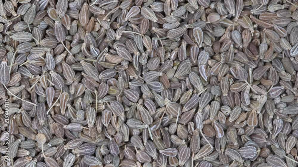 Pile green dry anise seeds background, close up rotation loopable 4k top view. Food background. Gastronomy concept, organic food. Macro anise seeds Pile green dry anise seeds background, close up rotation loopable 4k top view. Food background. Gastronomy concept, organic food. Macro anise seeds