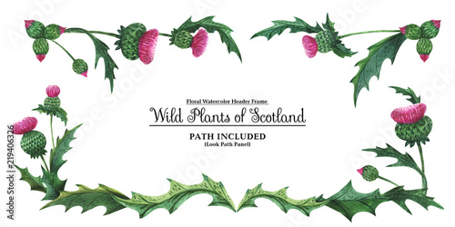 Obraz na płótnie Head banner from thistles. Floral symbol of Scotland