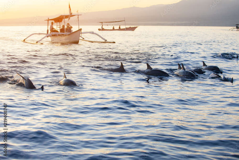 Obraz premium Bali Indonezja bezpłatna łódź delfinów Oglądanie na plaży Lovina