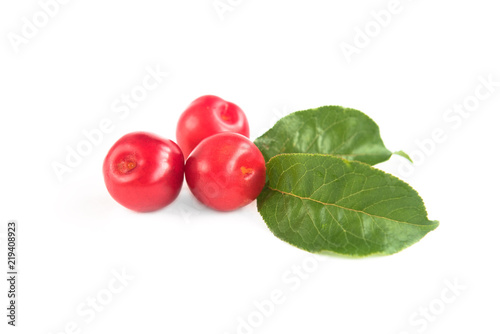 Fresh red plum with leaves isolated on white background.