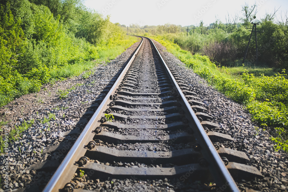 Obraz premium Rail tracks in the green field. Railway transport industry. Empty road on summer day. Travel lifestyle motivation photo.