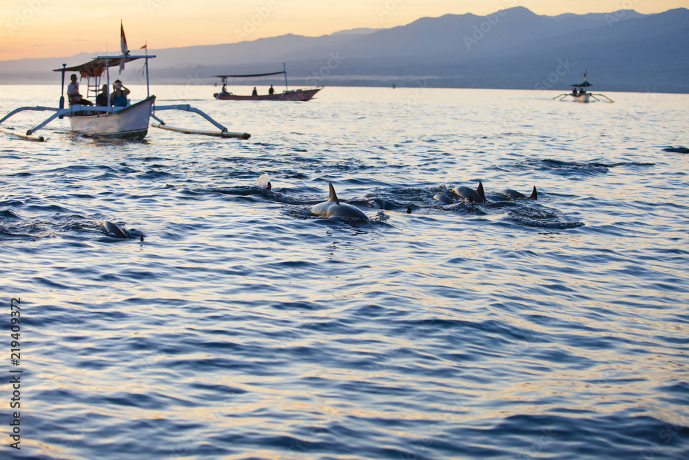 Fototapeta premium Bali Indonezja bezpłatna łódź delfinów Oglądanie na plaży Lovina