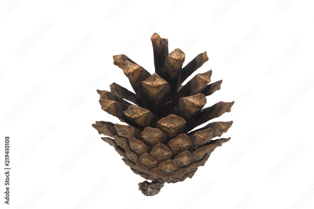 cone isolated on white background cone isolated on white background