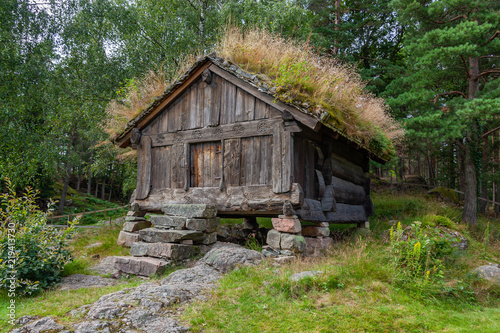 Old traditional Norwegian storehouse with green grass on the roof at picturesque forest background, Kristiansand, Norway