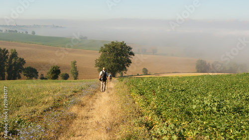 Beautiful view of a natural field with a central track going to a tree and people and pilgrims walking the Camino de Santiago 