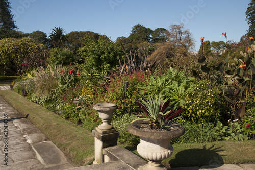 Sydney Australia, garden beds with autumn blooms