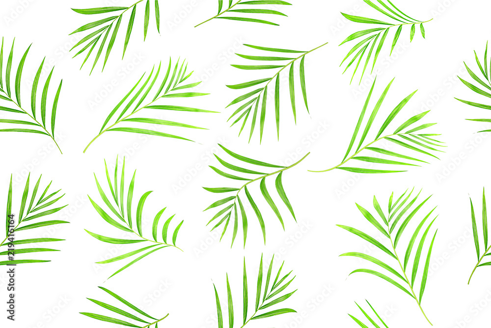 Seamless pattern of tropical leaves palm tree