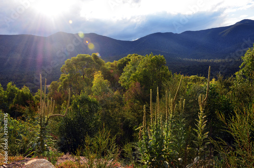 Mountains, sub alpine woodland and sun flare in Tidbinbilla Nature Reserve, near Canberra, Australian Capital Territory, Australia. photo