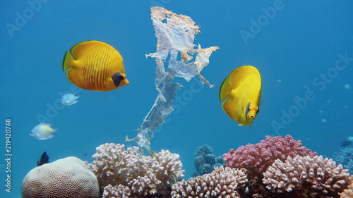 Fototapeta Naklejka Na Ścianę i Meble -  Beautiful coral reef with  yellow coral butterflyfish polluted with plastic bag - environmental protection concept