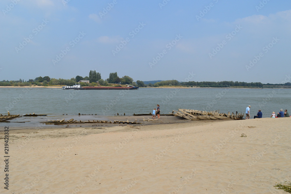 Blick auf den Rhein über das Wrack des 1895 untergegangenen Frachtschiffs 