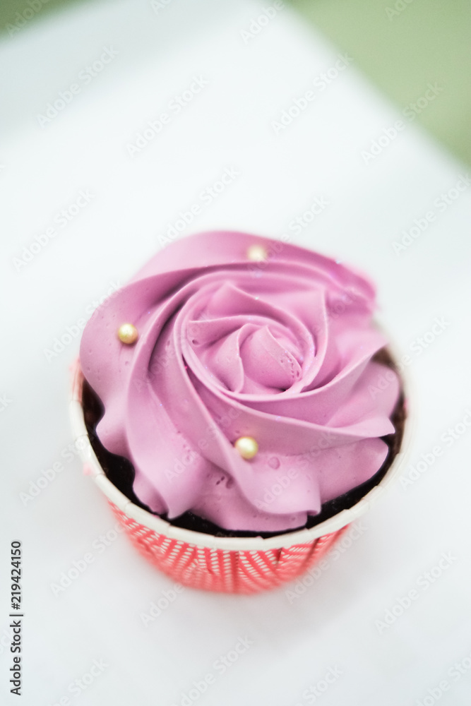 sweet pastel cupcakes with flower on top-shallow depth of field sweet pastel cupcakes with flower on top-shallow depth of field