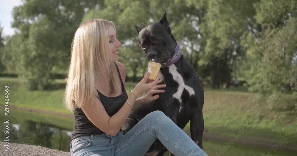 Attractive young woman eats a delicious ice cream and treats her dog. Concept: A dog is a man's best friend, love of animals. Attractive young woman eats a delicious ice cream and treats her dog. Concept: A dog is a man's best friend, love of animals.