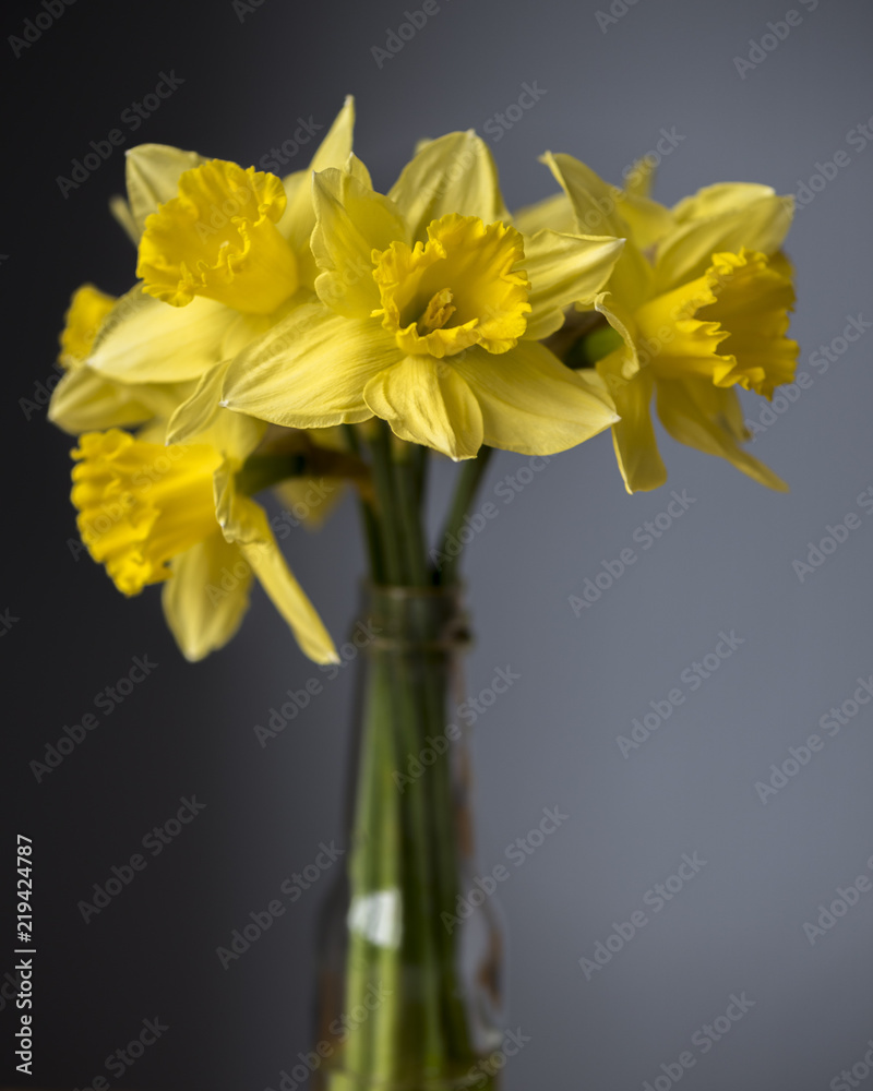 Daffodils in a Bottle Daffodils in a Bottle