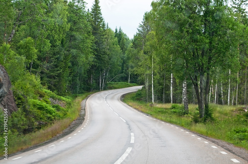 Curvy asphalted road ahead through dark green summer forest in south Sweden in July.