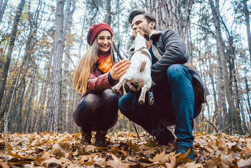 Frau und Mann streicheln den Hund beim Gassigehen im farbenprächtigen Park photo