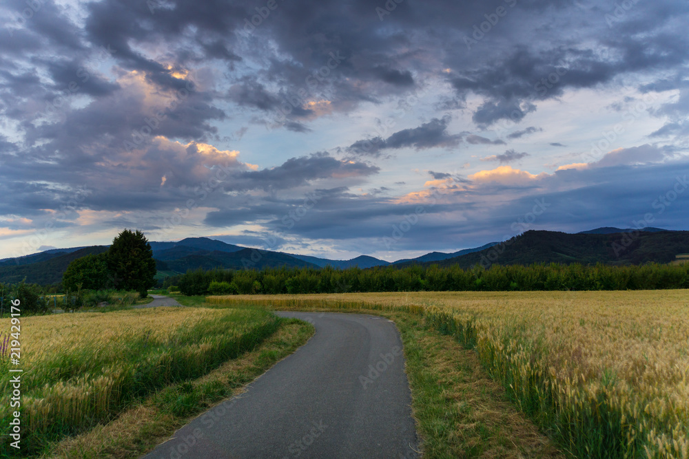 Germany, Road through corn fields with black forest mountains behind at sunset