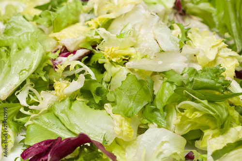 Macro photo of mix of different fresh green salad leaves on plate. Leaves of red and white radicchio, arugula, curled-leaved endive and frisee background. Horizontal color photography.