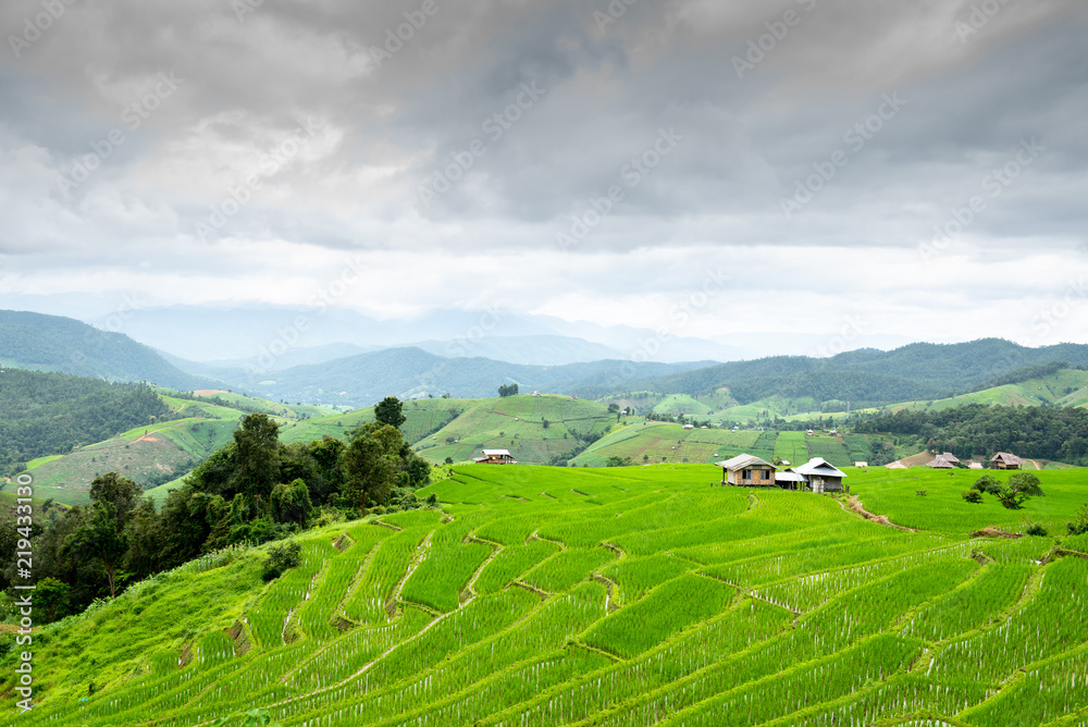 Rice terraces and small huts.