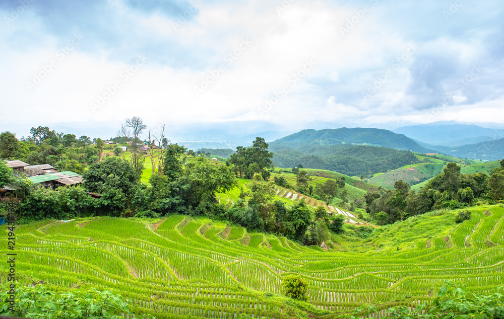 Rice terraces and small huts.