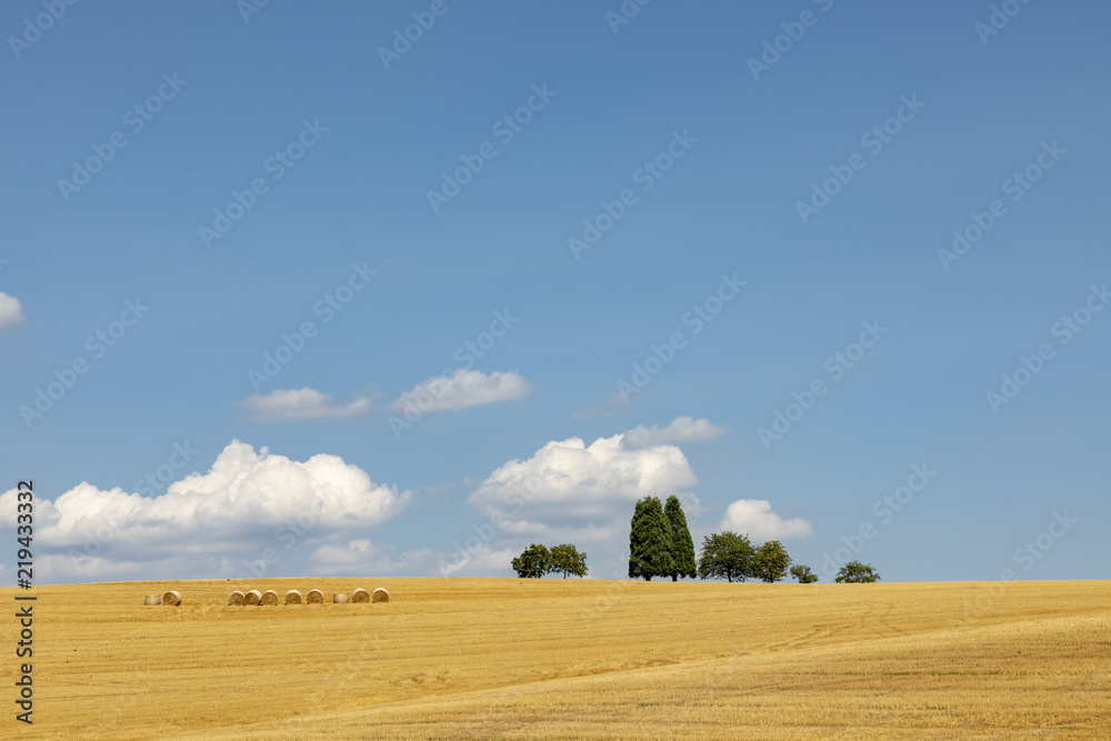 rural landscape with field after harvest and bale of straw