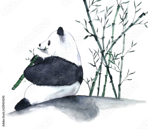 watercolor panda eating bamboo hand drawn illustration isolated on white background.Traditional oriental. asia art style 