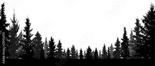 Forest, coniferous trees, silhouette vector background. Tree, fir, christmas tree, spruce, pine