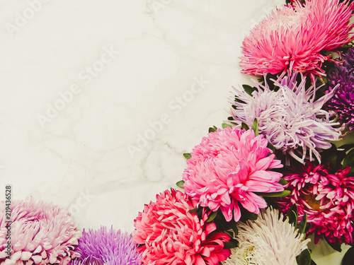 Colorful aster flowers forming a frame on a background, minimal concept, top view, copy space for your text