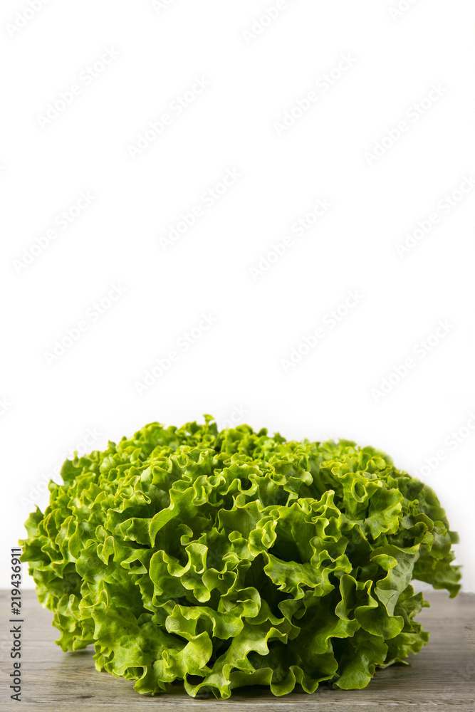 Lettuce Salad. Organic food. The background is white. Macro. Copy space. Vertical shot. Lettuce Salad. Organic food. The background is white. Macro. Copy space. Vertical shot.