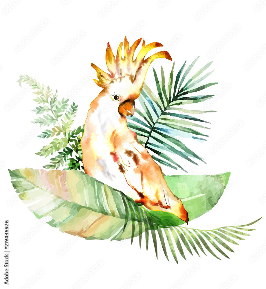 Fototapeta premium Тropical plants with cockatoo.