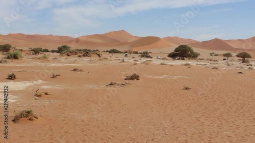 Namibia, Africa - desert landscape and rare trees, car rides away photo