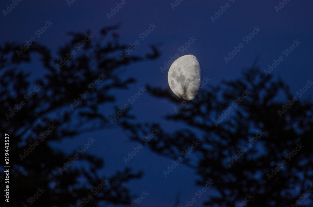 Fototapeta premium księżyc