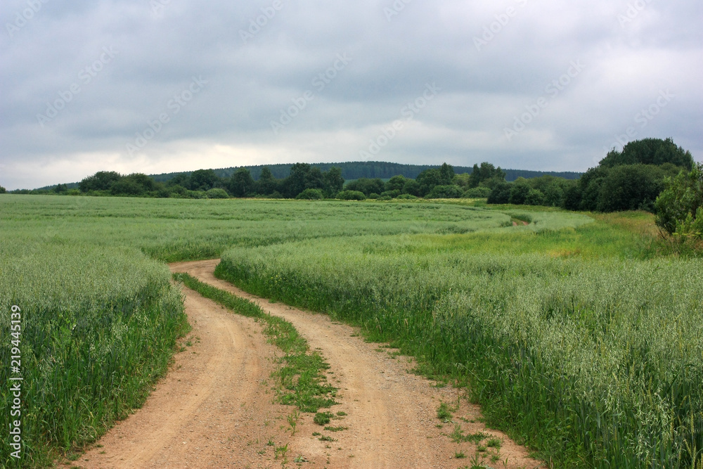 A deserted road in the field