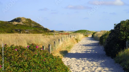 Sylt Dünen Landschaft Strandweg in Hörnum