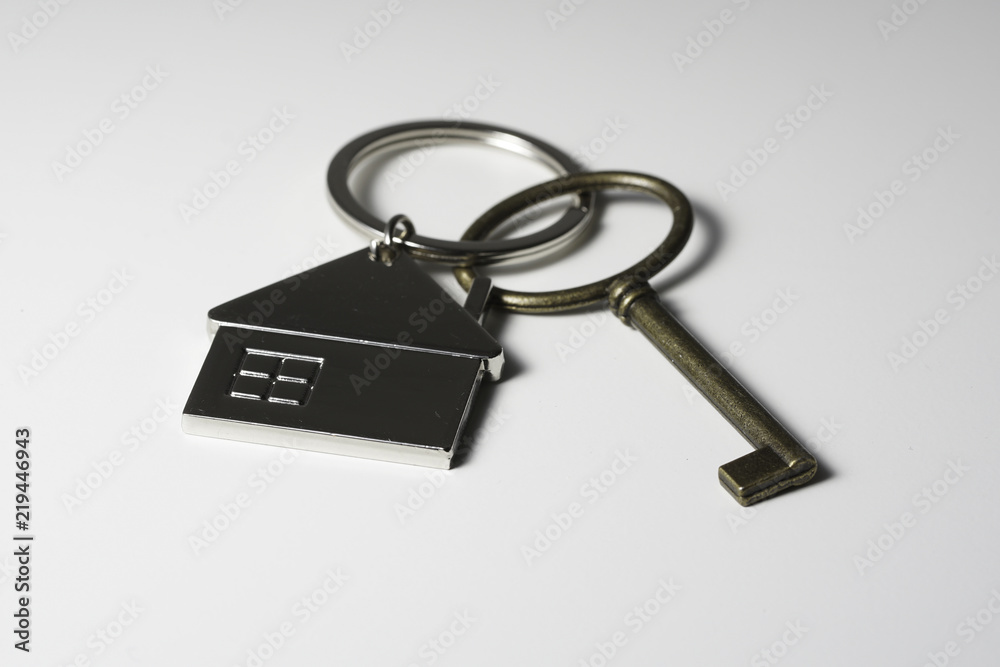 House key chain and bronze key House key chain and bronze key