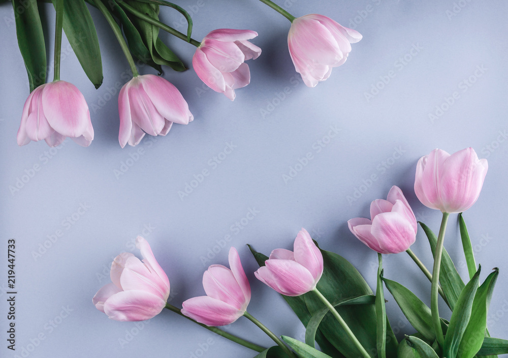 Pink tulips flowers over light blue background. Greeting card or wedding invitation. Flat lay, top view, copy space Pink tulips flowers over light blue background. Greeting card or wedding invitation. Flat lay, top view, copy space