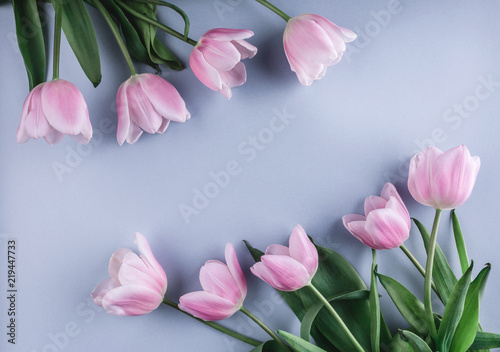 Fototapeta Naklejka Na Ścianę i Meble -  Pink tulips flowers over light blue background. Greeting card or wedding invitation. Flat lay, top view, copy space